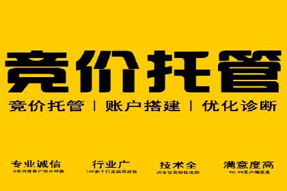 竞价端口开户全攻略，案例分析